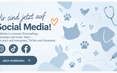 Unser Social Media!