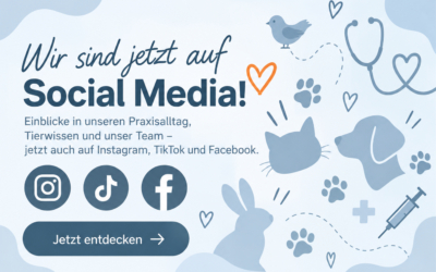 Unser Social Media!